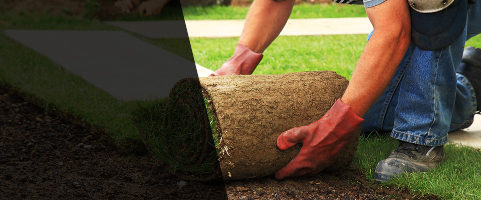 Jerome Landscapers